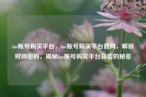 ins账号购买平台，ins账号购买平台官网，解锁时尚密码，揭秘Ins账号购买平台背后的秘密