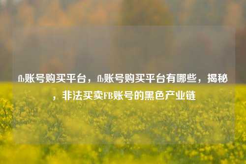 fb账号购买平台，fb账号购买平台有哪些，揭秘，非法买卖FB账号的黑色产业链