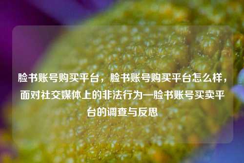 脸书账号购买平台，脸书账号购买平台怎么样，面对社交媒体上的非法行为—脸书账号买卖平台的调查与反思