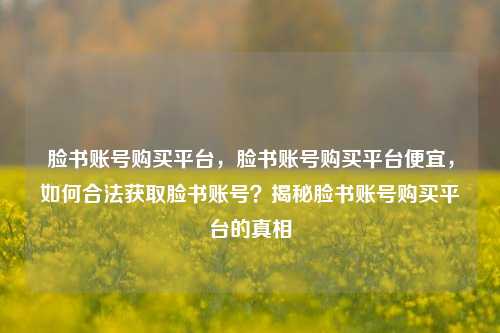 脸书账号购买平台，脸书账号购买平台便宜，如何合法获取脸书账号？揭秘脸书账号购买平台的真相