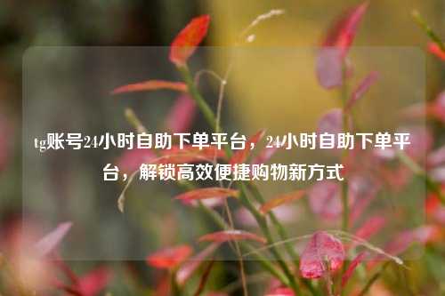 tg账号24小时自助下单平台，24小时自助下单平台，解锁高效便捷购物新方式