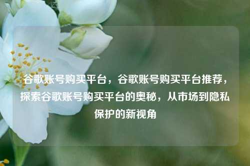 谷歌账号购买平台，谷歌账号购买平台推荐，探索谷歌账号购买平台的奥秘，从市场到隐私保护的新视角