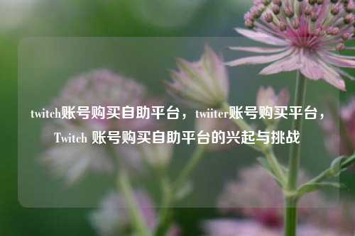 twitch账号购买自助平台，twiiter账号购买平台，Twitch 账号购买自助平台的兴起与挑战
