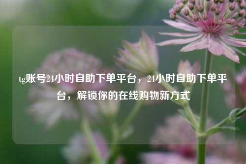 tg账号24小时自助下单平台，24小时自助下单平台，解锁你的在线购物新方式