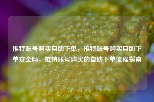 推特账号购买自助下单	，推特账号购买自助下单安全吗，推特账号购买的自助下单流程指南  第1张
