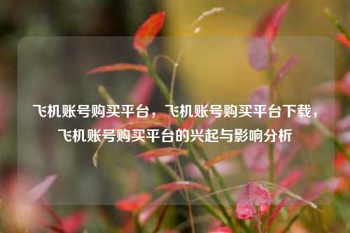 飞机账号购买平台	，飞机账号购买平台下载，飞机账号购买平台的兴起与影响分析  第1张