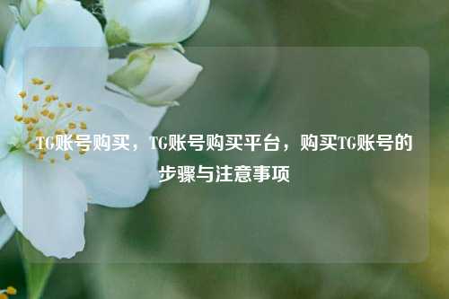 TG账号购买，TG账号购买平台，购买TG账号的步骤与注意事项