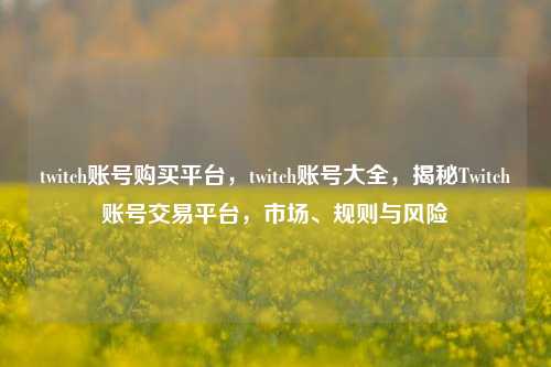 twitch账号购买平台，twitch账号大全，揭秘Twitch账号交易平台，市场、规则与风险