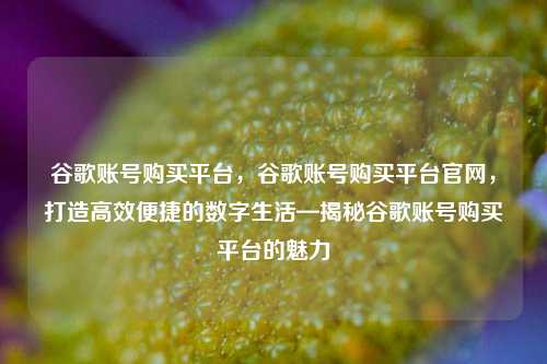 谷歌账号购买平台，谷歌账号购买平台官网，打造高效便捷的数字生活—揭秘谷歌账号购买平台的魅力
