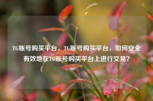 TG账号购买平台，TG账号购买平台，如何安全有效地在TG账号购买平台上进行交易？