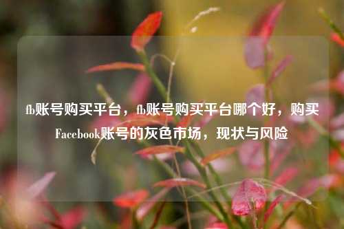 fb账号购买平台，fb账号购买平台哪个好，购买Facebook账号的灰色市场，现状与风险