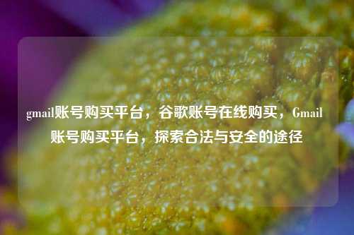 gmail账号购买平台，谷歌账号在线购买，Gmail 账号购买平台，探索合法与安全的途径