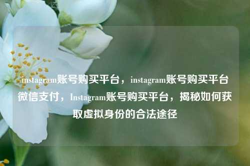 instagram账号购买平台，instagram账号购买平台微信支付，Instagram账号购买平台，揭秘如何获取虚拟身份的合法途径