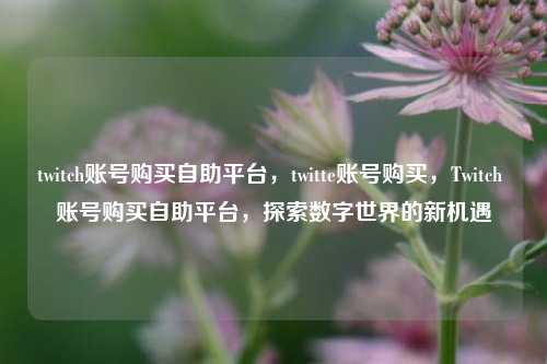 twitch账号购买自助平台，twitte账号购买，Twitch 账号购买自助平台，探索数字世界的新机遇