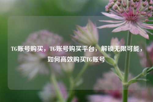 TG账号购买，TG账号购买平台，解锁无限可能，如何高效购买TG账号