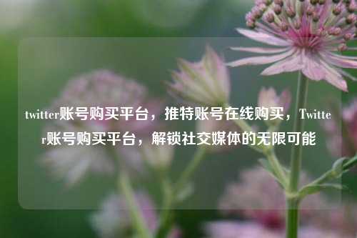 twitter账号购买平台，推特账号在线购买，Twitter账号购买平台，解锁社交媒体的无限可能