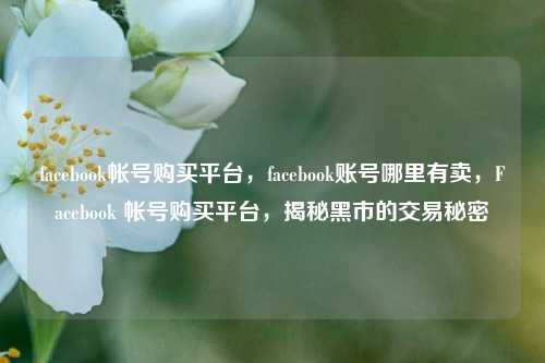 facebook帐号购买平台，facebook账号哪里有卖，Facebook 帐号购买平台，揭秘黑市的交易秘密