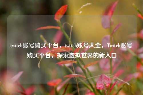twitch账号购买平台，twitch账号大全，Twitch账号购买平台，探索虚拟世界的新入口