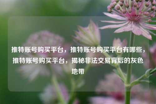 推特账号购买平台，推特账号购买平台有哪些，推特账号购买平台，揭秘非法交易背后的灰色地带