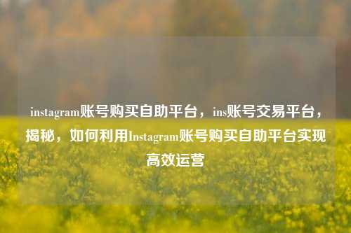 instagram账号购买自助平台，ins账号交易平台，揭秘，如何利用Instagram账号购买自助平台实现高效运营