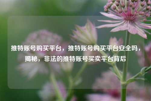 推特账号购买平台，推特账号购买平台安全吗，揭秘，非法的推特账号买卖平台背后