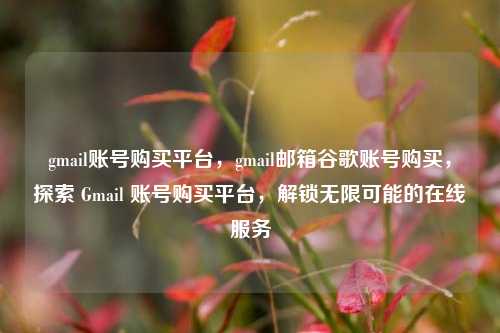 gmail账号购买平台，gmail邮箱谷歌账号购买，探索 Gmail 账号购买平台，解锁无限可能的在线服务