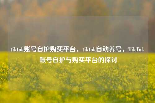 tiktok账号自护购买平台，tiktok自动养号，TikTok 账号自护与购买平台的探讨