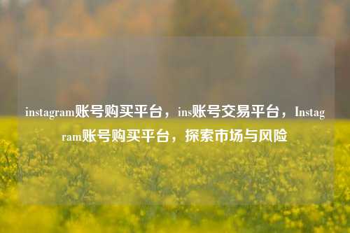 instagram账号购买平台，ins账号交易平台，Instagram账号购买平台	，探索市场与风险  第1张