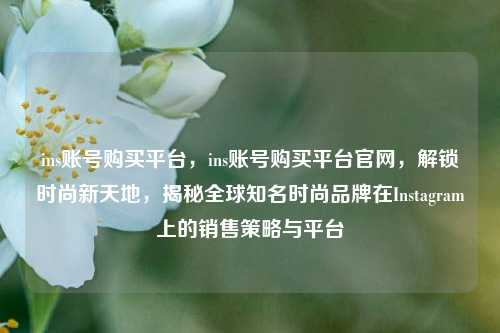 ins账号购买平台，ins账号购买平台官网，解锁时尚新天地，揭秘全球知名时尚品牌在Instagram上的销售策略与平台
