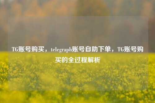 TG账号购买，telegraph账号自助下单，TG账号购买的全过程解析