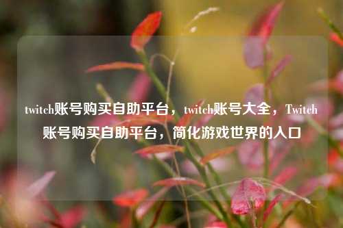 twitch账号购买自助平台，twitch账号大全，Twitch账号购买自助平台，简化游戏世界的入口