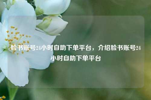 脸书账号24小时自助下单平台，介绍脸书账号24小时自助下单平台