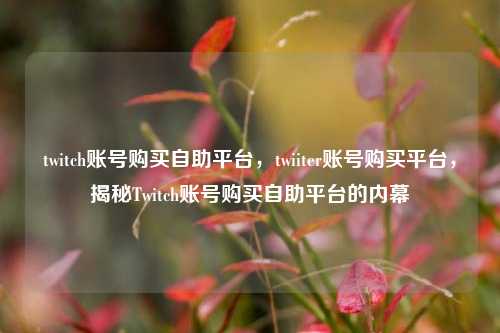 twitch账号购买自助平台，twiiter账号购买平台，揭秘Twitch账号购买自助平台的内幕
