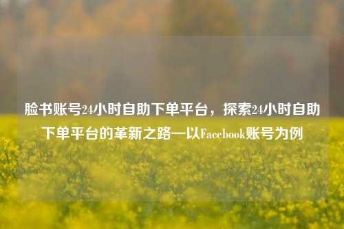 脸书账号24小时自助下单平台，探索24小时自助下单平台的革新之路—以Facebook账号为例