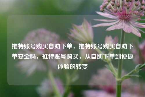 推特账号购买自助下单，推特账号购买自助下单安全吗，推特账号购买，从自助下单到便捷体验的转变