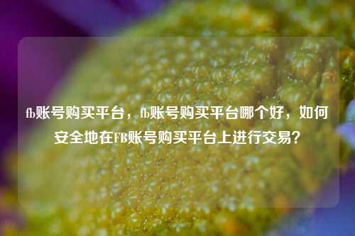fb账号购买平台，fb账号购买平台哪个好，如何安全地在FB账号购买平台上进行交易？