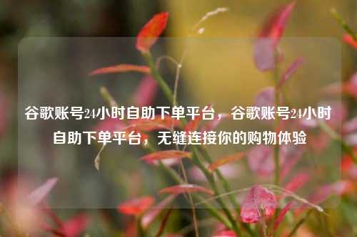 谷歌账号24小时自助下单平台，谷歌账号24小时自助下单平台，无缝连接你的购物体验
