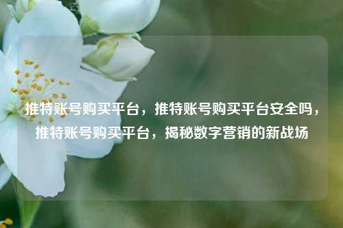 推特账号购买平台，推特账号购买平台安全吗，推特账号购买平台，揭秘数字营销的新战场