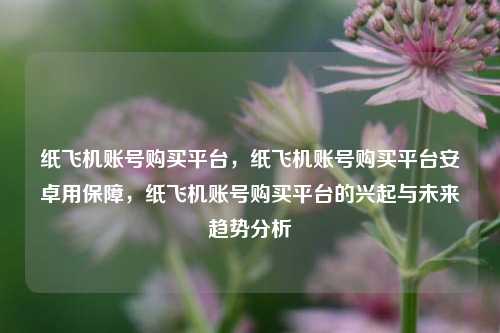 纸飞机账号购买平台，纸飞机账号购买平台安卓用保障，纸飞机账号购买平台的兴起与未来趋势分析