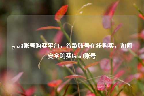 gmail账号购买平台，谷歌账号在线购买，如何安全购买Gmail账号