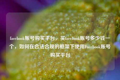 facebook帐号购买平台，买facebook账号多少钱一个，如何在合法合规的框架下使用Facebook账号购买平台