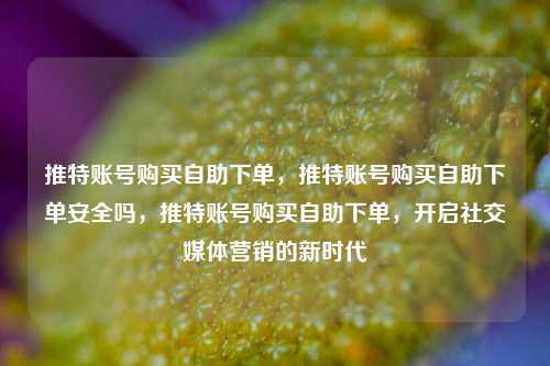 推特账号购买自助下单，推特账号购买自助下单安全吗，推特账号购买自助下单，开启社交媒体营销的新时代