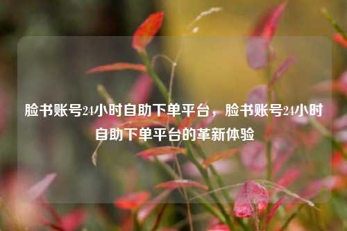 脸书账号24小时自助下单平台，脸书账号24小时自助下单平台的革新体验