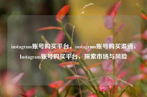 instagram账号购买平台，instagram账号购买渠道，Instagram账号购买平台，探索市场与风险