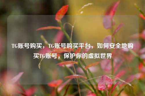 TG账号购买，TG账号购买平台，如何安全地购买TG账号，保护你的虚拟世界
