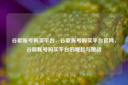 谷歌账号购买平台，谷歌账号购买平台官网，谷歌账号购买平台的崛起与挑战