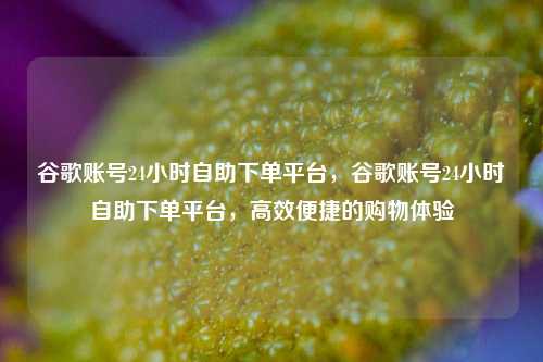 谷歌账号24小时自助下单平台，谷歌账号24小时自助下单平台，高效便捷的购物体验