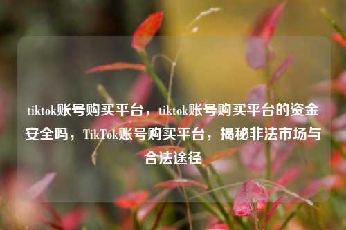 tiktok账号购买平台，tiktok账号购买平台的资金安全吗，TikTok账号购买平台，揭秘非法市场与合法途径