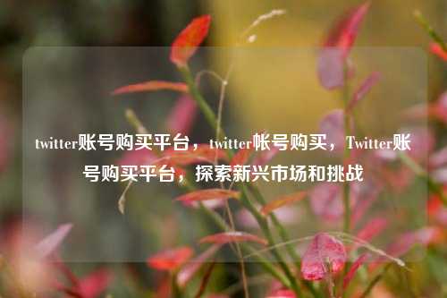 twitter账号购买平台，twitter帐号购买，Twitter账号购买平台	，探索新兴市场和挑战  第1张
