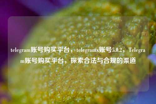 telegram账号购买平台，telegramx账号5.0.2，Telegram账号购买平台，探索合法与合规的渠道